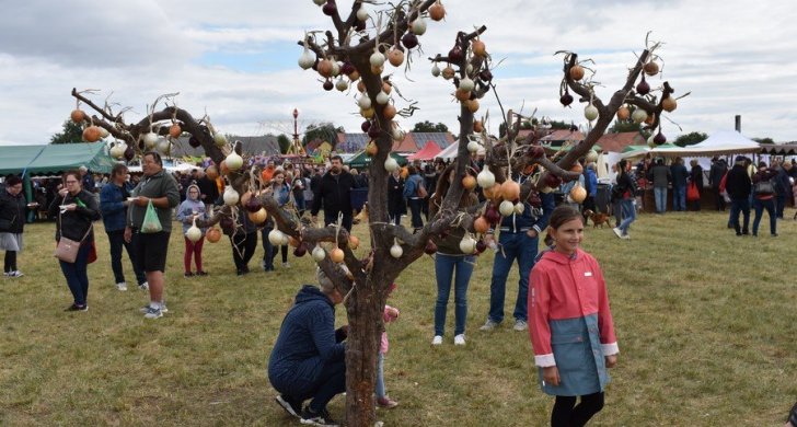 Slavnosti cibule Račetice (13).JPG